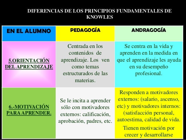 principios de la andragogia